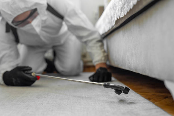 Professional Pest Control technician working in Sumner, WA