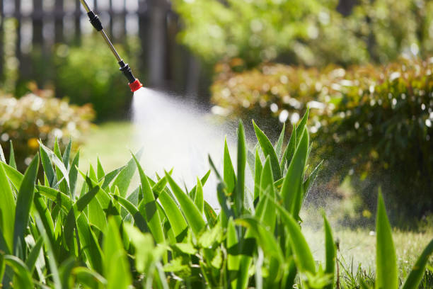 24/7 Emergency Pest Control experts in Sumner, WA